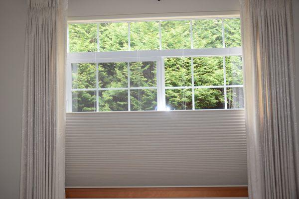 Bedroom: blackout shade-top-down halfway.