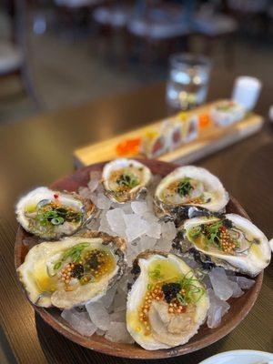 HH raw oysters