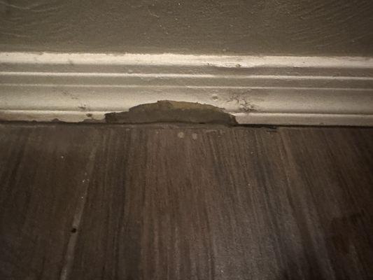 Damaged baseboards