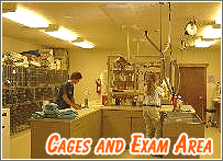 Cages and Exam Area