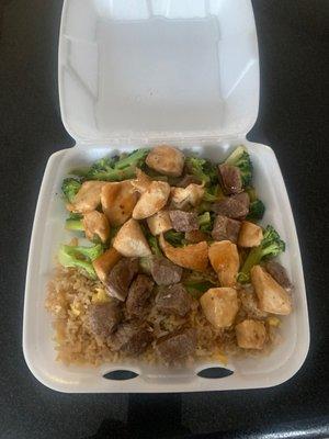 Teriyaki Steak and Chicken