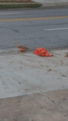 Pretty trashy when the town and country trash men leave hind trash and smash a pumpkin in your driveway. A TRASHY company!