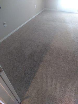 Carpets Upholstery Tile Cleaning by Dani CaliforniA