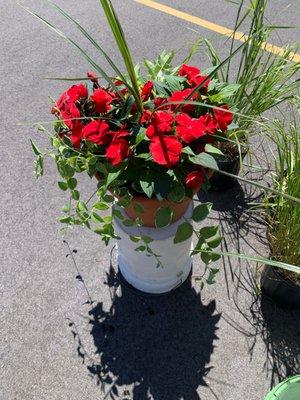 Fruit of the Bloom Garden Center