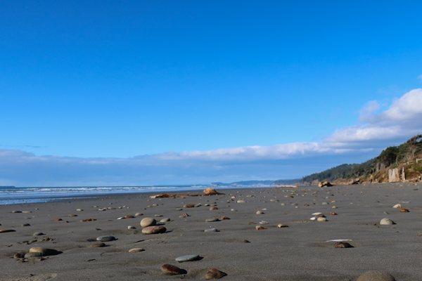 Kalaloch Beach and Campground