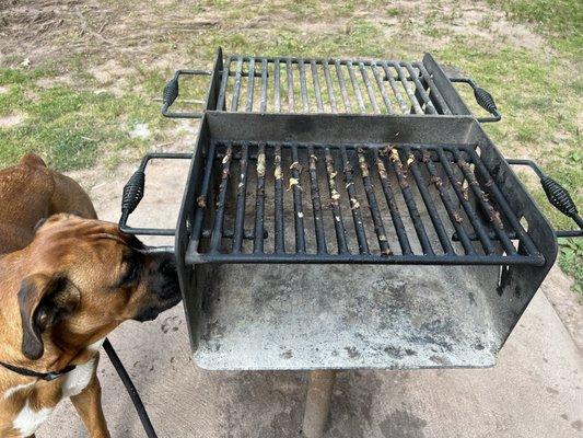 Grills! I saw a man do a whole brisket!