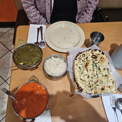 Garlic Naan, Chicken Tikka Masala, Saag Paneer, rice