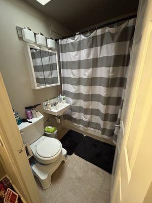 This is the bathroom. Fairly small. No vents but there is a window above you can open. And shelves behind the mirror.