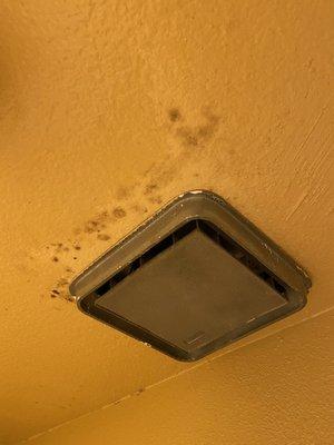 Mold around exhaust fan