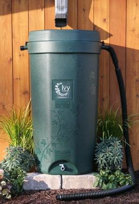 Rain barrels save water for your garden