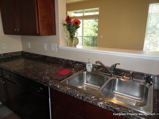 Beautiful Updated Kitchen Any Tenant Would LOVE!