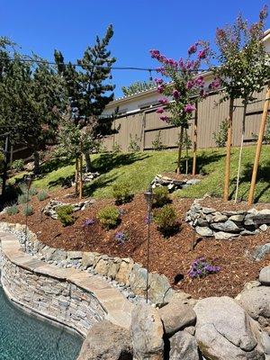 Retaining wall / plant / tree/ mulch Installation