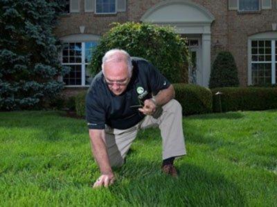 Lawn inspection