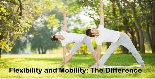 flexibility does not necessarily translate to mobility - which means freedom of movement: http://www.newfoundstrengthfitness.com/flexibility