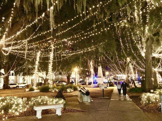 Plaza de la Constitucion -- Christmas lights