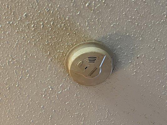 The filth of the smoke detector