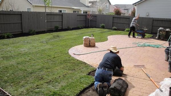 TLC Landscape Services