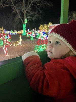 The amazing Santa train ride.