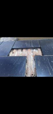 Pigeons Nesting underneath solar panels before cleaning and guarding.