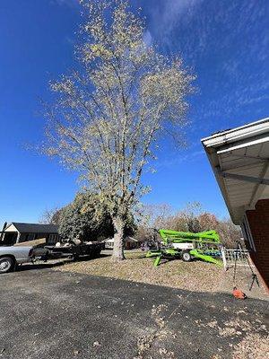 Huffs Tree Service