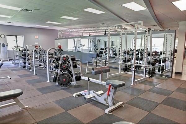 Free weight room, always clean and organized with a variety of weights and other equipment!