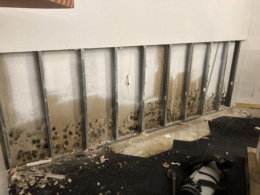 Undetected water damage causing secondary damages