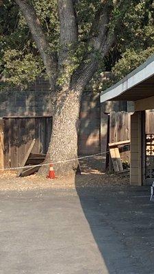 You can easily access the trail through the giant broken fence.