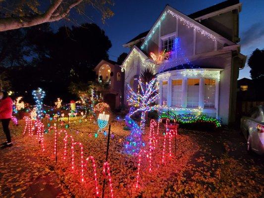 Christmas Tree Lane