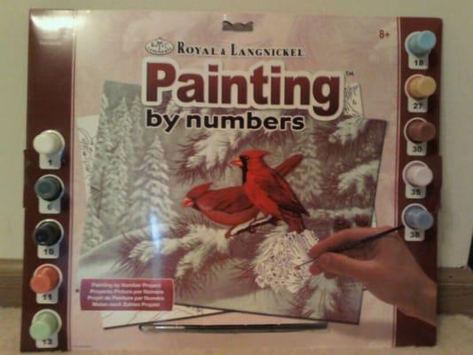 Painting by Numbers Kit ($7.99)