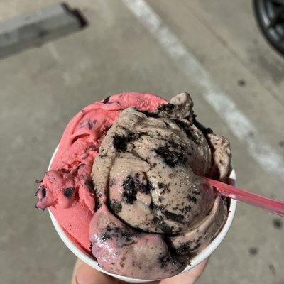 Left: pomegranate chocolate chip sorbet Right: cookies and cream ice cream