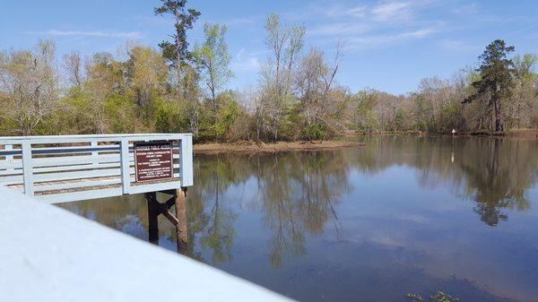 Fishing/Walking dock.