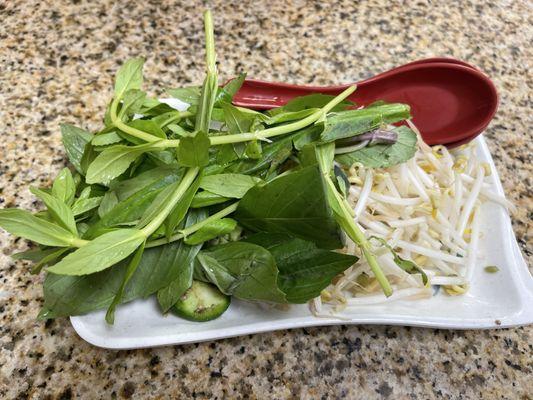 Mung Beans and Mint on the Side with Pho