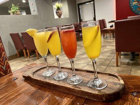 Mimosa flight