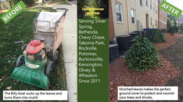 Leaf Removal and Mulching