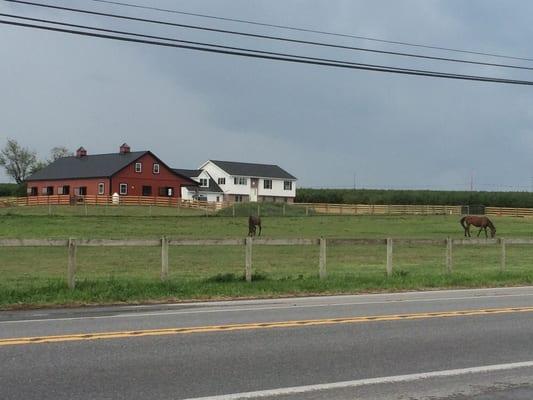 This serene landscape is right across the road from the restaurant.