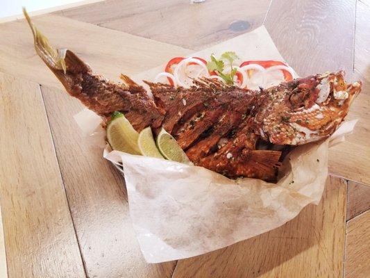 PARGO LARGO  Whole fried snapper. This one's 2 lb!