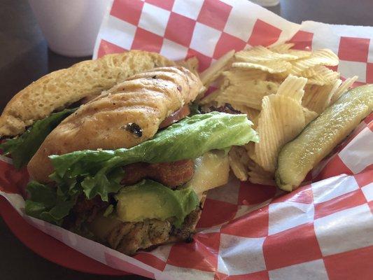 Rio Grande Chicken sandwich on jalapeño cheddar bread - loved every bite!