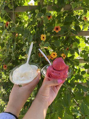 Caramel Cashew (vanilla, Caramel, Cashews) and Pomegranate Dole whip