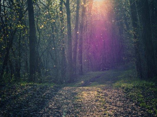 On the walking trail near sunset. (c) imnawang