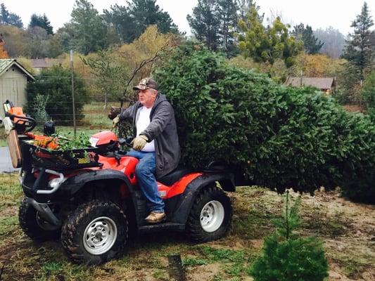 ATVs bring your trees to your car.