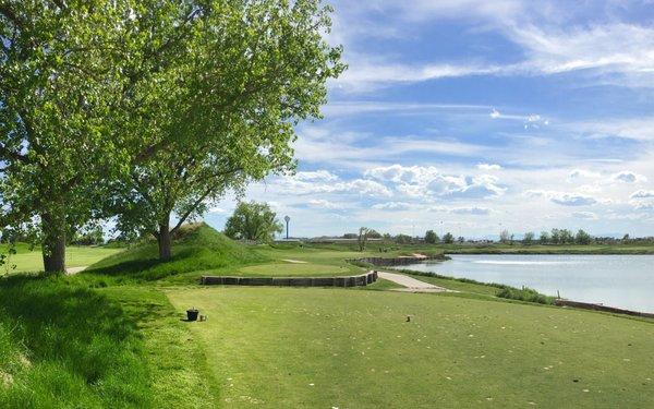 Tee Box on #17