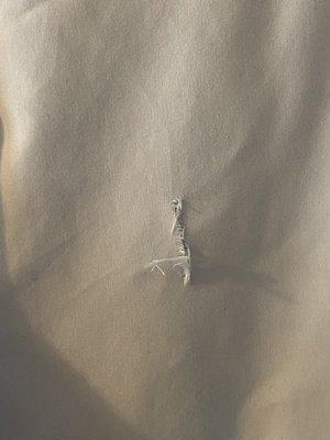 Tear in dress shirt.