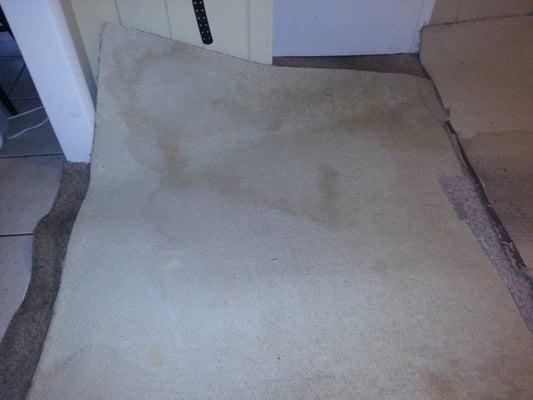 Water damage from cleaning services provided by Pro Clean