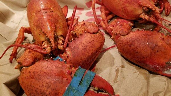 XL crawfish at Rouses