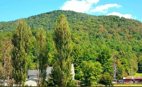 Walls Mountain; Hiawassee, Georgia. Named after my soon-to-be husband's ancestors.