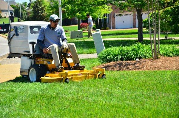 Lawn care