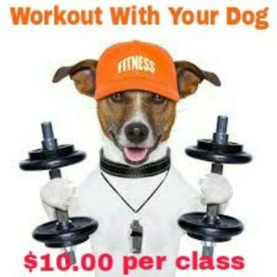 Workouts with your Dogs.