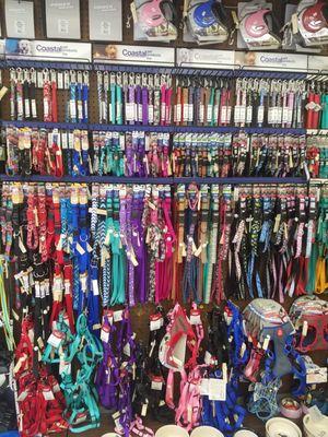 Assorted Collars and Leashes