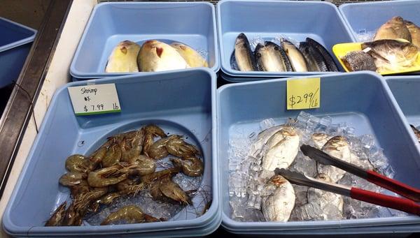 Fresh fish...looks it, smells it, feels it.  Always a good selection.