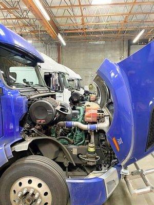 We work on all commercial diesel engines.